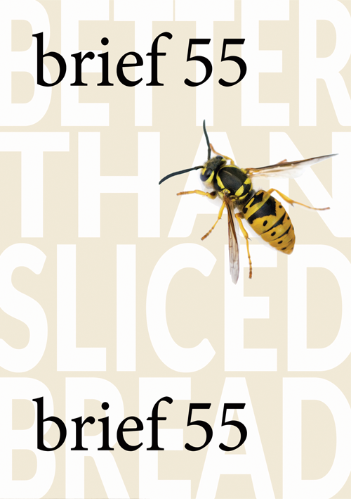 Brief 55 Cover