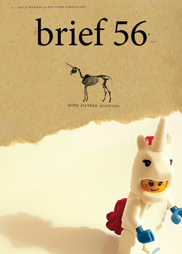 Brief issue 56 Cover by Matt Kelly, Photograph by Inês Pimentel